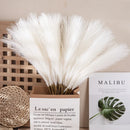 GobekUsa Fluffy Pampas Grass Boho Decor Pampas Grass.