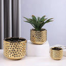GobekUsa Gold Ceramic Flower Pot Succulent Vase Terrarium Plant Pots for Home Balcony Decor