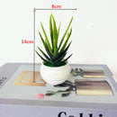 GobekUsa Artificial Mini Plant Bonsai Greening Potted Desktop Simulation Green Plant