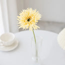 GobekUsa Brushed Gerbera Vase: Home Decor, Wedding, Christmas, Party Wreaths & Scrapbooking