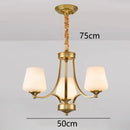 GobekUsa LED Pendant Light Chandeliers for Modern Living and Dining Room Lighting