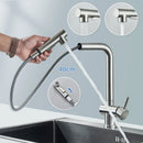 GobekUsa Brushed Nickel Kitchen Faucet with Dual Spray Nozzle