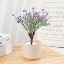 GobekUsa Artificial Gypsophila Plants for Home Decor, Garden, Wedding - Set of 12