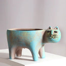 GobekUsa Cat Succulent Plant Pot - Cute Cartoon Animal Design for Home Decor