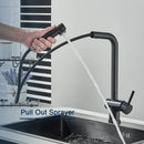 GobekUsa Black Gourmet Kitchen Faucet with Flexible Sprayer and Dual Nozzle