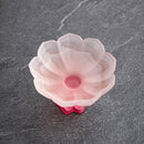 GobekUsa Lotus Flower Glass Tea Cups - Set of 2