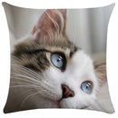 GobekUsa Bubble Black Cats Cat Pillow Cases Sofa Home Decor Custom Cushion Cover