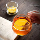 GobekUsa Glass Tea Cup with Infuser and Lid - 350ml Drinkware for Home and Office