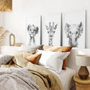 Black and White Jungle Animal Baby Room Decor by Wall Art Set