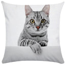 GobekUsa Bubble Black Cats Cat Pillow Cases Sofa Home Decor Custom Cushion Cover