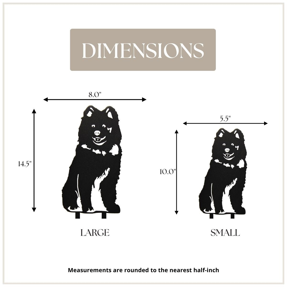 Samoyed, photo 4 of 13