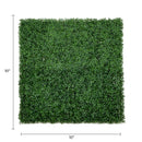 Sample Panel – Dark Boxwood Green Wall (Small Sample)