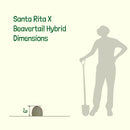 Santa Rita x Beavertail Hybrid