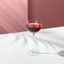 Savage Set of 2 Pony Glasses by NUDE USA