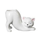 GobekUsa Cat Tail Succulent Planting Porcelain Vase - Cute Cartoon Cat Flowerpot