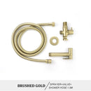 GobekUsa Brass Bidet Spray Kit with Portable Valve for Bathroom Anus Shower