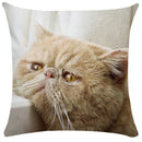 GobekUsa Bubble Black Cats Cat Pillow Cases Sofa Home Decor Custom Cushion Cover