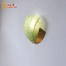 GobekUsa Brass Glass Shell LED Wall Lamp for Luxurious Design Aesthetic
