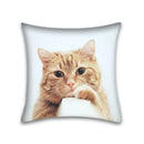 GobekUsa Cute Cat Anime Pillow Case – 45x45cm Cartoon Cushion Cover for Home and Office