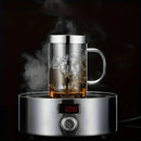 GobekUsa 477ML Glass Tea Infuser Mug | Borosilicate Glass with Stainless Steel Infuser