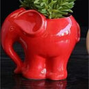 GobekUsa Elephant Succulent Planter Ceramic Vase Cute Flowerpot Decor Pot
