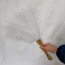 GobekUsa Fluffy Pampas Grass Boho Decor Pampas Grass.