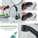 GobekUsa Black Lift Basin Faucet with Pull Out Sprayer for Bathroom Sink - Dual Nozzle