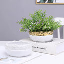 GobekUsa Golden Edge Succulent Flower Pot Vase - Indoor Ceramic Planter Pot