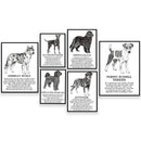 GobekUsa Dog Breed Poetry Poster Collection: Vizsla, Pomeranian, Manchester Terrier, and More