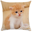 GobekUsa Bubble Black Cats Cat Pillow Cases Sofa Home Decor Custom Cushion Cover