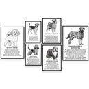 GobekUsa Dog Breeds Poster: Chinese Crested, Chesapeake Retriever, Brussels Griffon, + More