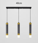 GobekUsa Double Head LED Pendant Lights for Modern Indoor Bedroom, Bedside, Entrance, Bathroom