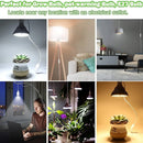 GobekUsa Decorative Lamp Cord with Dimmer Switch and E14 E27 Socket