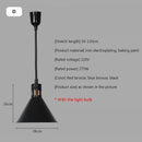 GobekUsa Electric Food Heating Pendant Light - Stylish and Functional Fixture for Kitchens and Restaurants