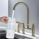 GobekUsa Brushed Gold Kitchen Faucet with Hand Shower Head Pot Filler Tap & Black Sink Spout