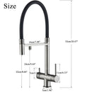 GobekUsa Black Kitchen Faucet with Pull Down Sprayer and 2-in-1 Purification Technology