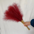 GobekUsa Fluffy Pampas Grass Boho Decor Pampas Grass.
