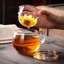 GobekUsa Glass Tea Cup with Infuser and Lid - 350ml Drinkware for Home and Office