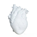 GobekUsa Heart Shape Resin Flower Vase Desktop Ornament Bouquet Holder Home Decor
