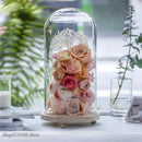 GobekUsa Glass Dome Night Light with Dry Flower Ornaments on Wood Base