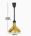 Vintage Telescopic Stainless Steel Buffet Heat Pendant Lamp