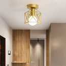 GobekUsa Iron Cage Retro Ceiling Lamp for Home Lighting