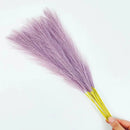 GobekUsa Fluffy Pampas Grass Boho Decor Pampas Grass.
