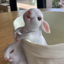 GobekUsa Lovely Rabbit Garden Flowerpot for Balcony Simulation and Garden Decor