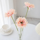 GobekUsa Brushed Gerbera Vase: Home Decor, Wedding, Christmas, Party Wreaths & Scrapbooking
