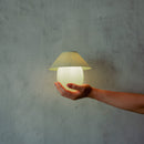 Scoop Lamp