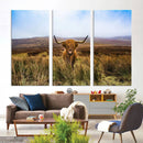 Scottish Highland Cow Cattle Art Canvas Print Farmhouse Wall
