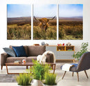 Scottish Highland Cow Cattle Art Canvas Print Farmhouse Wall