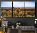 Scottish Highland Cow Cattle Art Canvas Print Farmhouse Wall