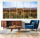 Scottish Highland Cow Cattle Art Canvas Print Farmhouse Wall